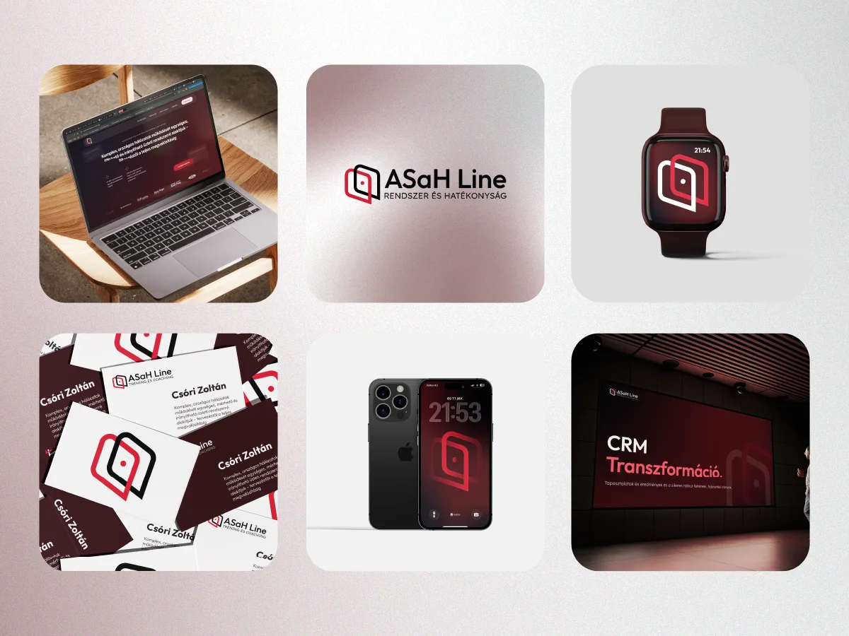ASaH Line Kft. — 2